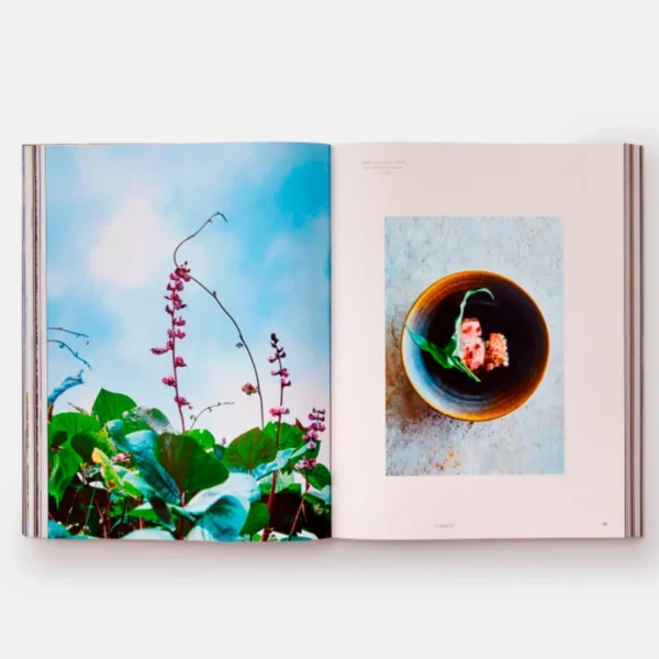 Monk - Image 4