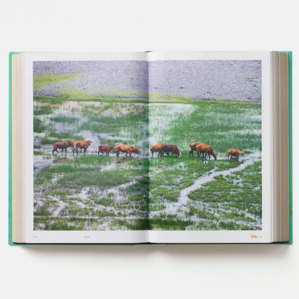 China: The CookBook - Imagem 4