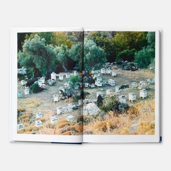 Greece: The Cookbook - Image 3